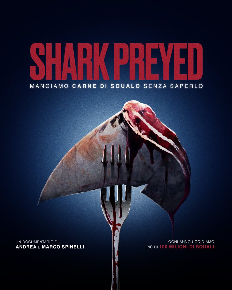 40% di squali è a rischio estinzione:
Il film #SharkPreyed racconta l’impatto umano sull’equilibrio degli oceani
L'Italia è uno dei maggiori importatori di carne di🦈al mondo,si potrebbe dire che squali migrano più da morti che da vivi, perché la loro carne attraversa 200 confini