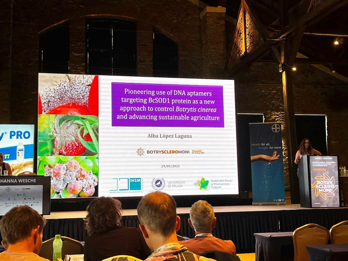 🔬Por su parte, la investigadora Alba López Laguna del grupo "Biología y control de enfermedades de plantas" ha participado con su charla "Pioneering use of DNA aptamers targeting BcSOD1 protein as a new approach to control Botrytis cinerea and advancing sustainable agri-culture"
