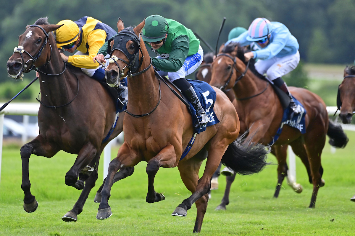 Tattersalls Ireland (@tattersalls_ie) on Twitter photo September grad Green Triangle won the valuable Gowran Classic for owner <a href="/simon_munir/">Simon Munir</a> and trainer <a href="/JosephOBrien2/">Joseph O'Brien</a>.
The son of Gleneagles was sold by Mark Hanly and <a href="/sagrassick/">Sally Ann Grassick</a> Grange Hill Stud at the 2023 September Yearling Sale to <a href="/agentbloodstock/">Highflyer Bloodstock</a> for โฌ40,000.
#TattsIreGrad September grad Green Triangle won the valuable Gowran Classic for owner <a href="/simon_munir/">Simon Munir</a> and trainer <a href="/JosephOBrien2/">Joseph O'Brien</a>.
The son of Gleneagles was sold by Mark Hanly and <a href="/sagrassick/">Sally Ann Grassick</a> Grange Hill Stud at the 2023 September Yearling Sale to <a href="/agentbloodstock/">Highflyer Bloodstock</a> for โฌ40,000.
#TattsIreGrad