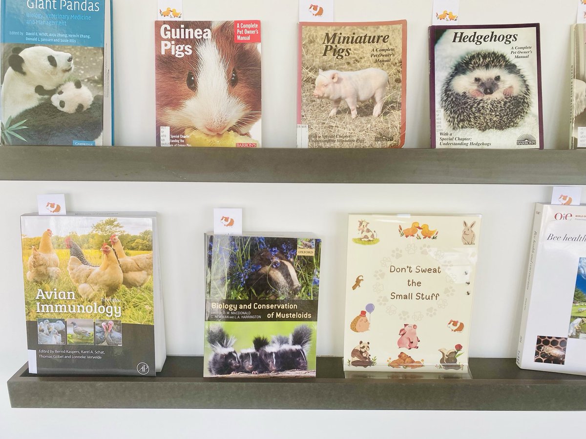 striepenlab's tweet image. So there are some clear ups of working for a vet school - for one the library offers the stuff you really want to read this summer! Hedgehogs, miniature pigs and musteloids - I already feel happier! @pennvet
