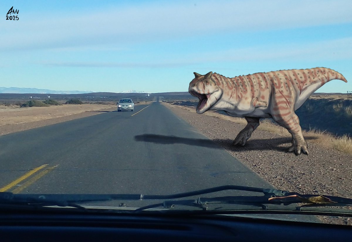 Alerta Carnotaurus⚠️❗