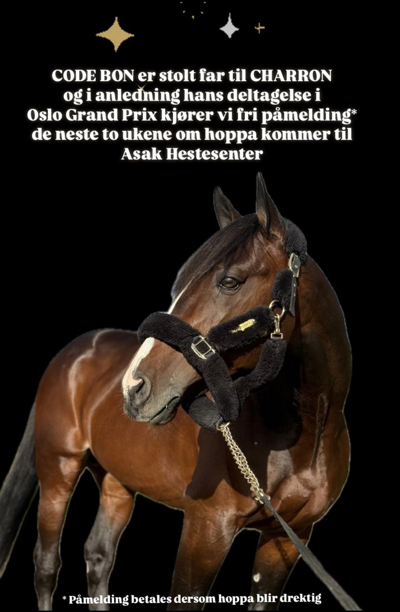 Elise Kristine Holt (@elisekristinee) on Twitter photo 