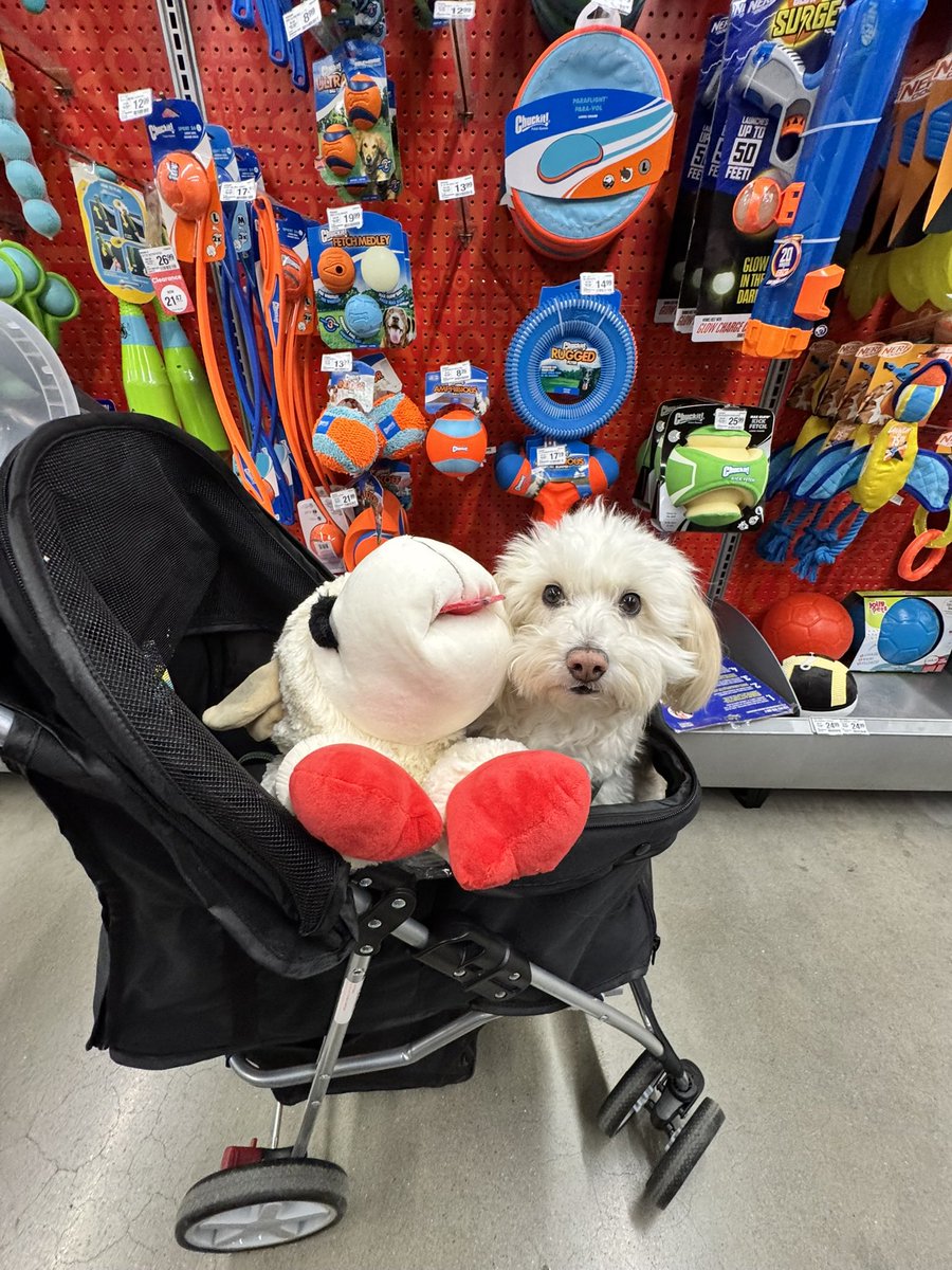 Jackie 🪩 tweet media