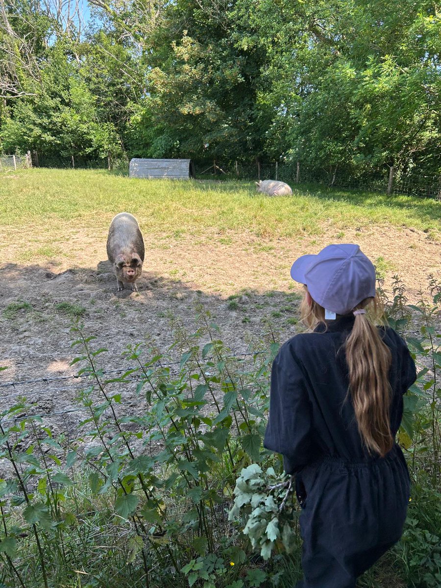 Year 5 have been meeting some of the residents at Beaulieu - whilst sporting their stylish farm suits, of course! 😊