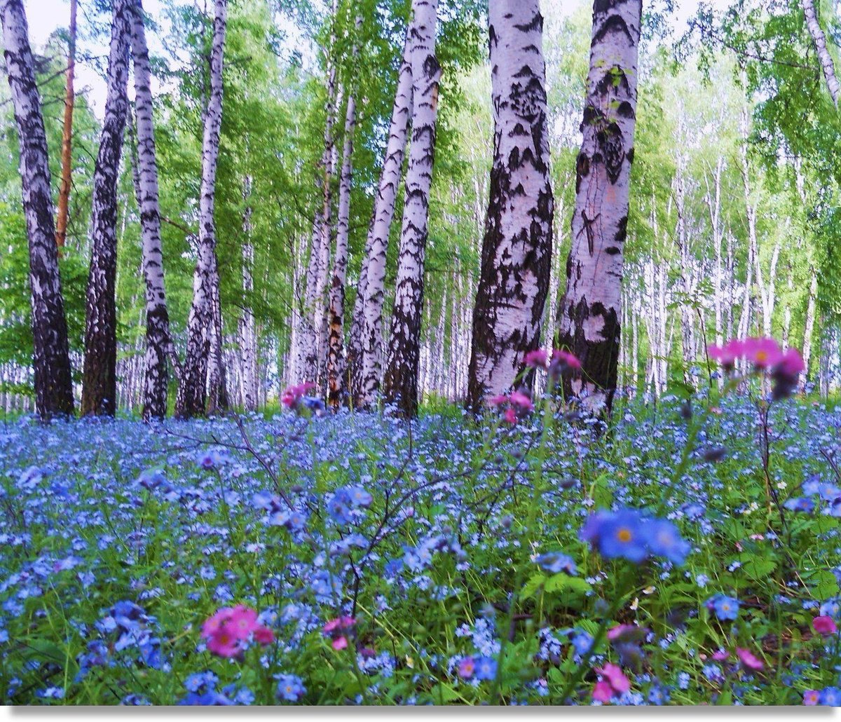 <a href="/karina_lando/">Карина Ландо</a> <a href="/interesn0vsem/">Ольга Воробьева</a> <a href="/ilona_gerolskay/">Илона Герольская</a> <a href="/cukushka/">Людмила</a> <a href="/actwives/">Ирина Морозова</a> <a href="/gl0riyas/">Глория</a> <a href="/nina55055/">Нина</a> <a href="/_fantaziya/">Елена</a> <a href="/javorskaya/">Эльвира Яворская</a> <a href="/Irina__Razumova/">Ирина Разумова</a> <a href="/Veronika_Mazina/">Вероника Мазина</a> <a href="/_Nadya_Antipova/">Надежда Антипова</a> <a href="/Lyuda_Ilyina/">Людмила Ильина</a> <a href="/Nata__Svetlova/">Наталья Светлова</a> <a href="/_Alina_Panova/">Алина Панова</a> <a href="/Vlada_Ulisova/">Влада Улисова</a>
