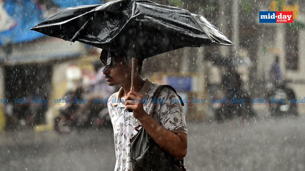 mid_day's tweet image. People caught in sudden showers at Kemps Corner, Mumbai

Picture credits: Shadab Khan 

#MumbaiRains #KempsCorner #MumbaiMonsoons