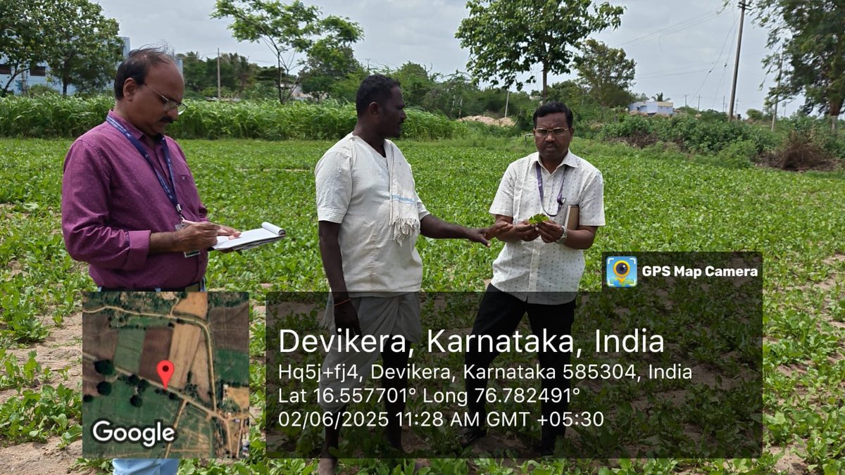 ICAR_IIHR's tweet image. As part of the Viksit Krishi Sankalp Abhiyan, the team of scientists from @ICAR_IIHR  visited a #palak (#spinach) growing farmer's field where the crop was observed to be affected by #Alternaria #blight, a serious foliar disease. The team recommended suitable fungicide measures
