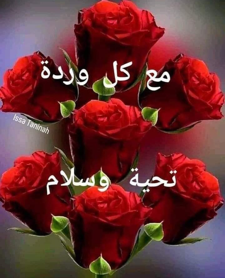 فواز (@abwamr74687) on Twitter photo 