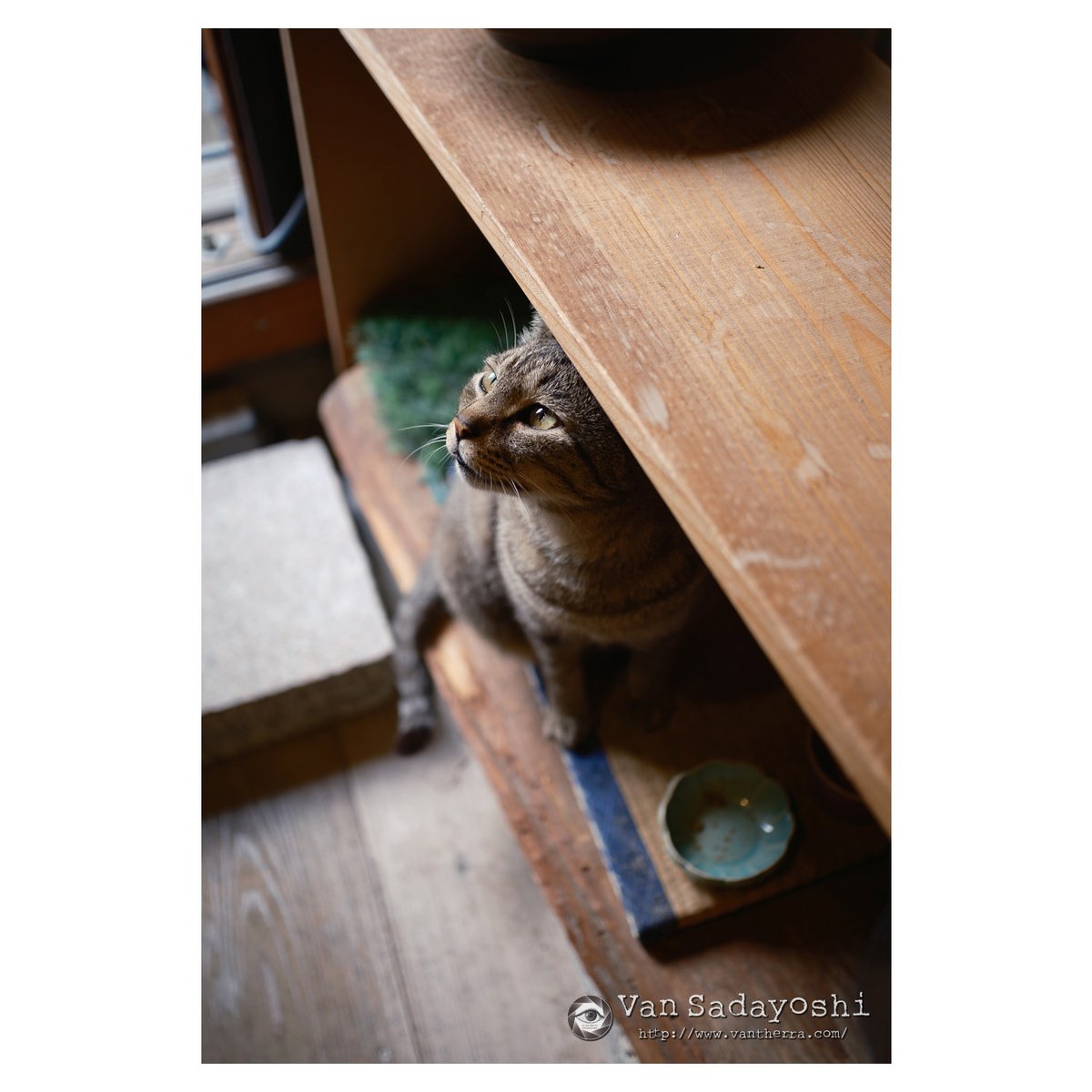 X-M5とﾏﾛﾁｬﾝ