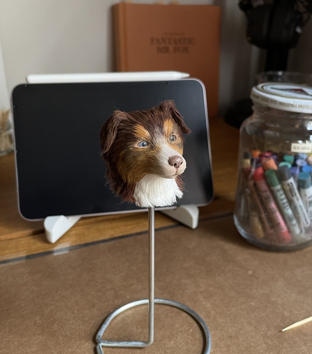 A pretty good boy 🐶