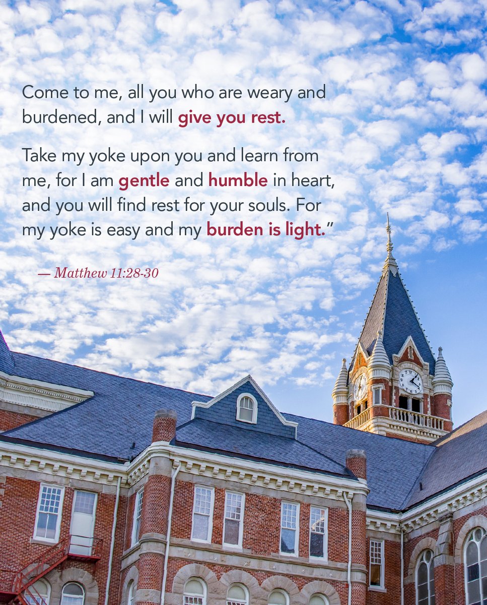 Hoping you find this gentle rest today! ☁️🌻 #MyFriendsU #BibleVerse