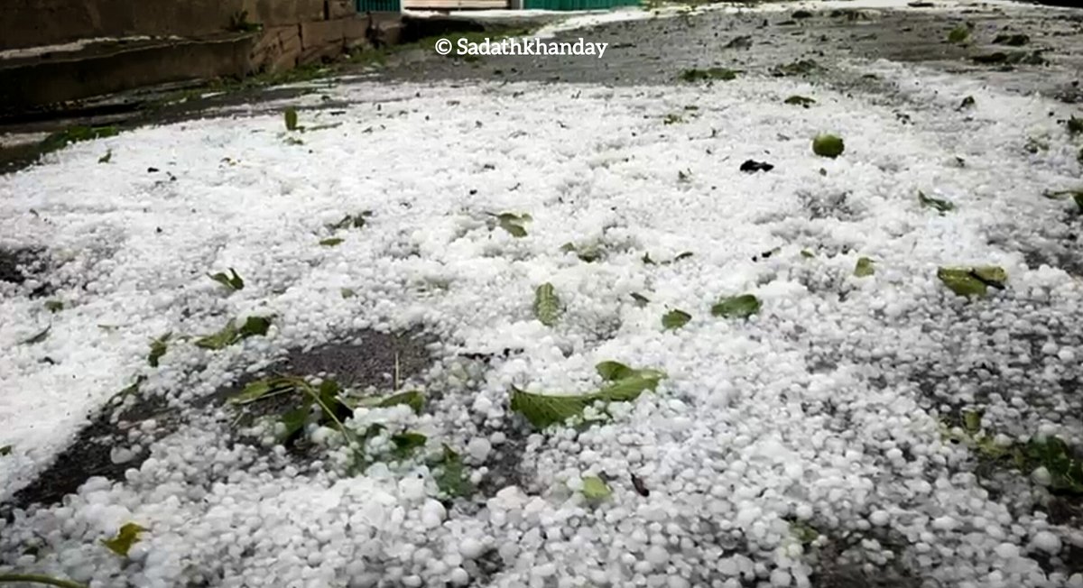 Hailstorm in many villages of Shopian District 

Imamsahib, Nagbal, Handaw, and Wadipora among worst-affected as growers urge urgent implementation of Crop Insurance Scheme 
<a href="/DistrictShopian/">District Shopian</a> <a href="/Kashmir_Weather/">Kashmir Weather</a> <a href="/SZainapora/">SDM Zainapora</a> <a href="/diprjk/">Information & PR, J&K</a> <a href="/shishrgupta/">Shishr Gupta</a>