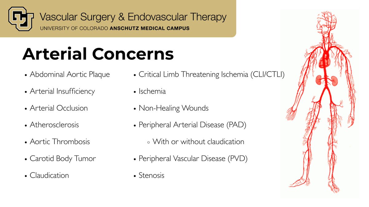 CUVascularSurg's tweet image. Every day, we&apos;re proud of the breadth of our practice thanks to an incredible team. 

From insufficiency to stenosis and CLI to PAD, we&apos;re your one-stop shop for arterial concerns🩸