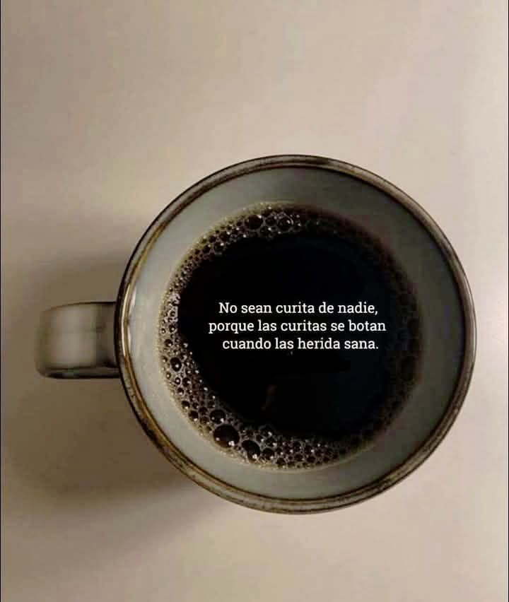 angelo_uf's tweet photo. 👇🏻 https://t.co/mdpXT2qGDW