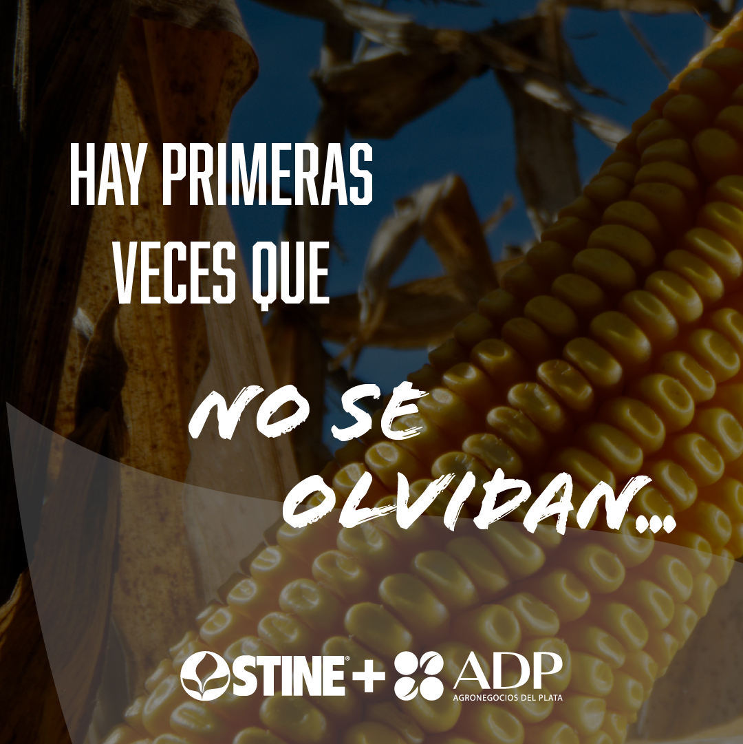 adp_uruguay's tweet photo. Todos tuvimos una primera vez. Ahora viene la nuestra.  

Por primera vez en Uruguay, Stine y ADP-Agronegocios del Plata traen algo que va a dar que hablar.  

🗓️ 9 de junio. Agendalo. https://t.co/OiQEPT8cca