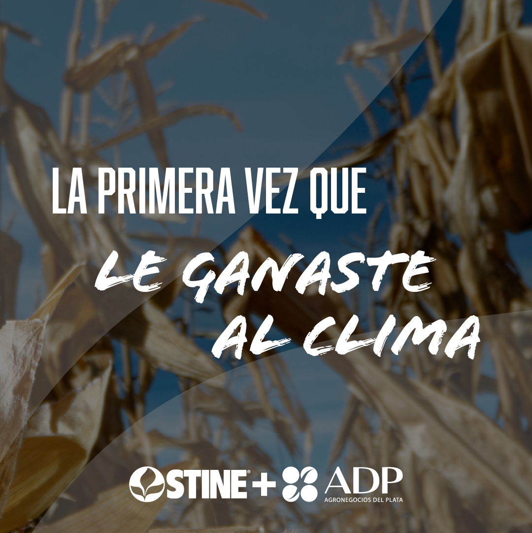 adp_uruguay's tweet photo. Todos tuvimos una primera vez. Ahora viene la nuestra.  

Por primera vez en Uruguay, Stine y ADP-Agronegocios del Plata traen algo que va a dar que hablar.  

🗓️ 9 de junio. Agendalo. https://t.co/OiQEPT8cca