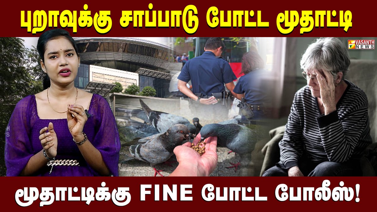 VasanthNews's tweet image. என்ன புறாவுக்கு சாப்பாடு போட்டதுக்கு 80 ஆயிரம் Fine-ஆ 😱

▶️youtu.be/mWXIqqnCAoU

#pegion #Food #Fine #KuttyNews #vasanthnews #Shyamala #policecases #singapore #courtorder #birdsfoodfeeder