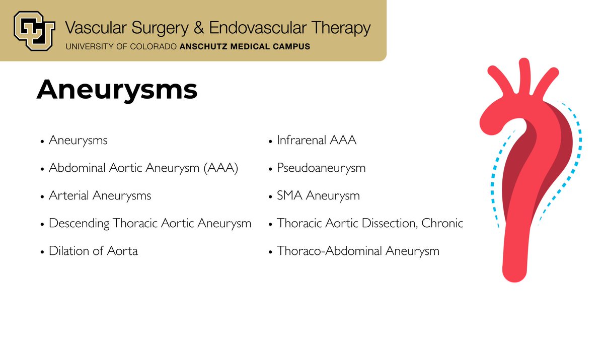 CUVascularSurg's tweet image. One huge aspect of CU Vascular&apos;s practice is aneurysm treatment. 
An aneurysm is a scary diagnosis for anyone, and we&apos;re here to walk alongside you through your surgical journey. #WeCU