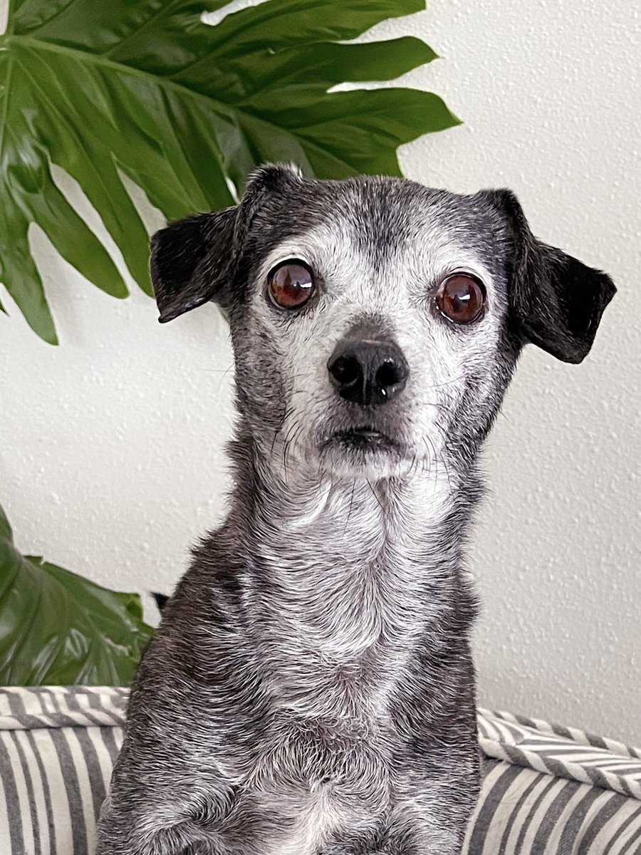 monday? again? going to need extra sandwiches for this.