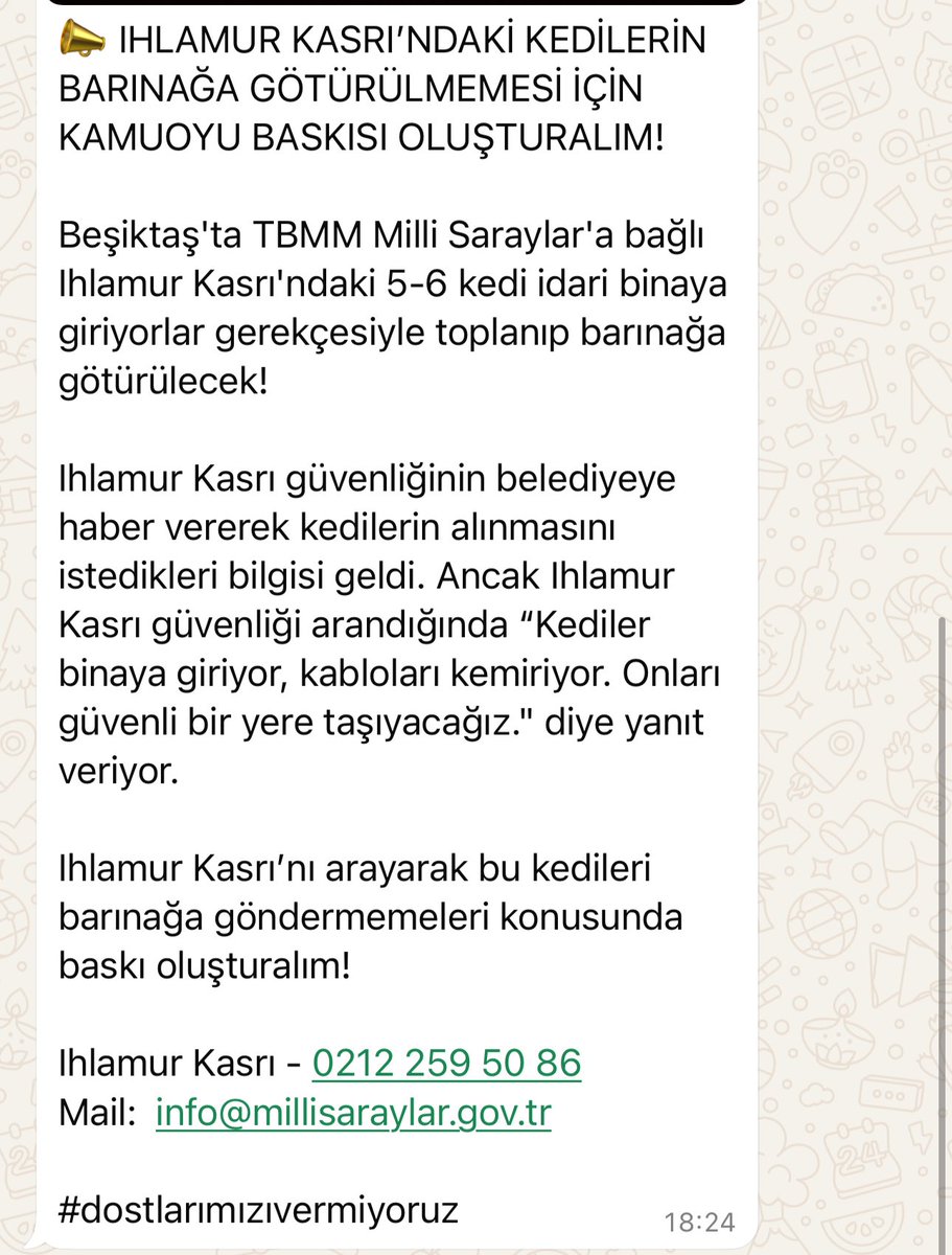 Arzu🇹🇷 (@atadanarzu) on Twitter photo Çok acil ‼️ kediler toplanarak ölüm kampına gönderileck <a href="/AysemOzleyis/">Ayşem Özleyiş Oğuz 🌱</a> <a href="/aylinvepatileri/">Aylin 🦋🪼🌍</a> <a href="/Semazel32826862/">Sema Özçelik</a> <a href="/womanchildanima/">sokak hayvanlarına destek</a> <a href="/alwaysanimals34/">Yaşam Hakkı Savunucusu</a> <a href="/proline2002/">Hülya Erge</a> <a href="/Emos_fb/">Emine</a> <a href="/Kedilerbasti/">T.C. Billur M</a> <a href="/legendaryone__/">Berro</a> <a href="/nimetozdemir34/">Nimet Özdemir</a> <a href="/Nihal_K34/">Nihal Aydın</a> <a href="/Yesimcarpediem1/">Yesimcarpediem19</a> <a href="/isimbegenemedim/">Geronimo</a> <a href="/Murat_Efe_IE/">Murat Efe</a> <a href="/Dilaraerkmen_/">Dilara Erkmen</a> Çok acil ‼️ kediler toplanarak ölüm kampına gönderileck <a href="/AysemOzleyis/">Ayşem Özleyiş Oğuz 🌱</a> <a href="/aylinvepatileri/">Aylin 🦋🪼🌍</a> <a href="/Semazel32826862/">Sema Özçelik</a> <a href="/womanchildanima/">sokak hayvanlarına destek</a> <a href="/alwaysanimals34/">Yaşam Hakkı Savunucusu</a> <a href="/proline2002/">Hülya Erge</a> <a href="/Emos_fb/">Emine</a> <a href="/Kedilerbasti/">T.C. Billur M</a> <a href="/legendaryone__/">Berro</a> <a href="/nimetozdemir34/">Nimet Özdemir</a> <a href="/Nihal_K34/">Nihal Aydın</a> <a href="/Yesimcarpediem1/">Yesimcarpediem19</a> <a href="/isimbegenemedim/">Geronimo</a> <a href="/Murat_Efe_IE/">Murat Efe</a> <a href="/Dilaraerkmen_/">Dilara Erkmen</a>