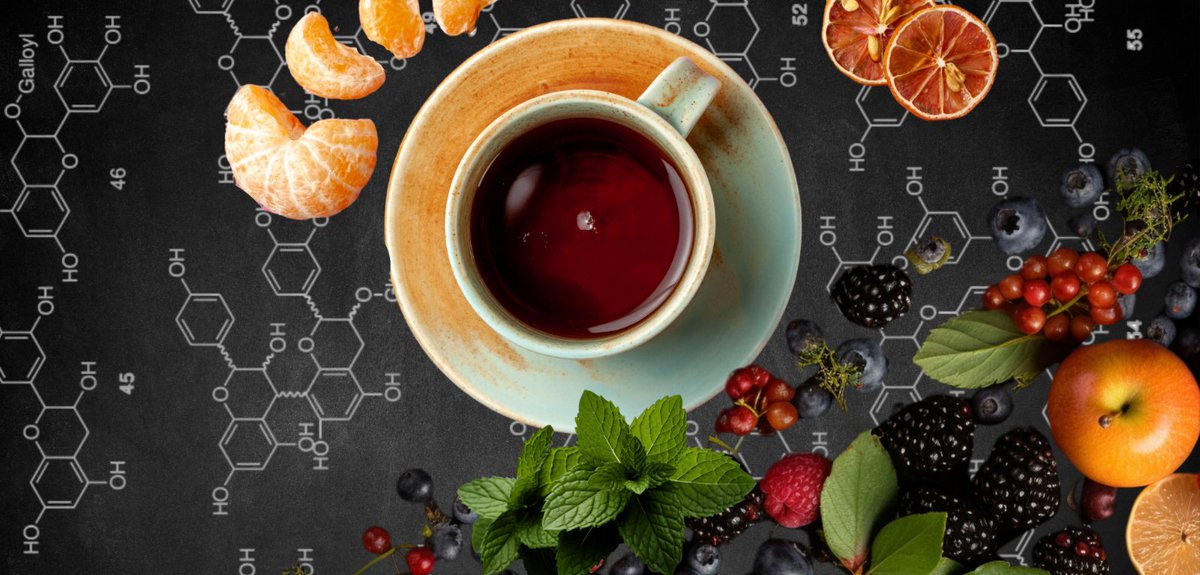 QUBelfast's tweet image. Fancy a cuppa?☕️

Our researchers have found that consuming food and drinks rich in #flavonoids, like tea, berries and dark chocolate, could lower the risk of developing serious health conditions and lead to a longer life span.

We're off to pop the kettle on!

Find out more