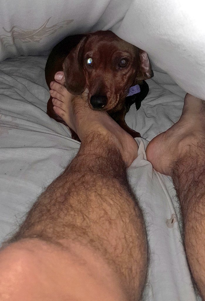 Sale siesta !!!