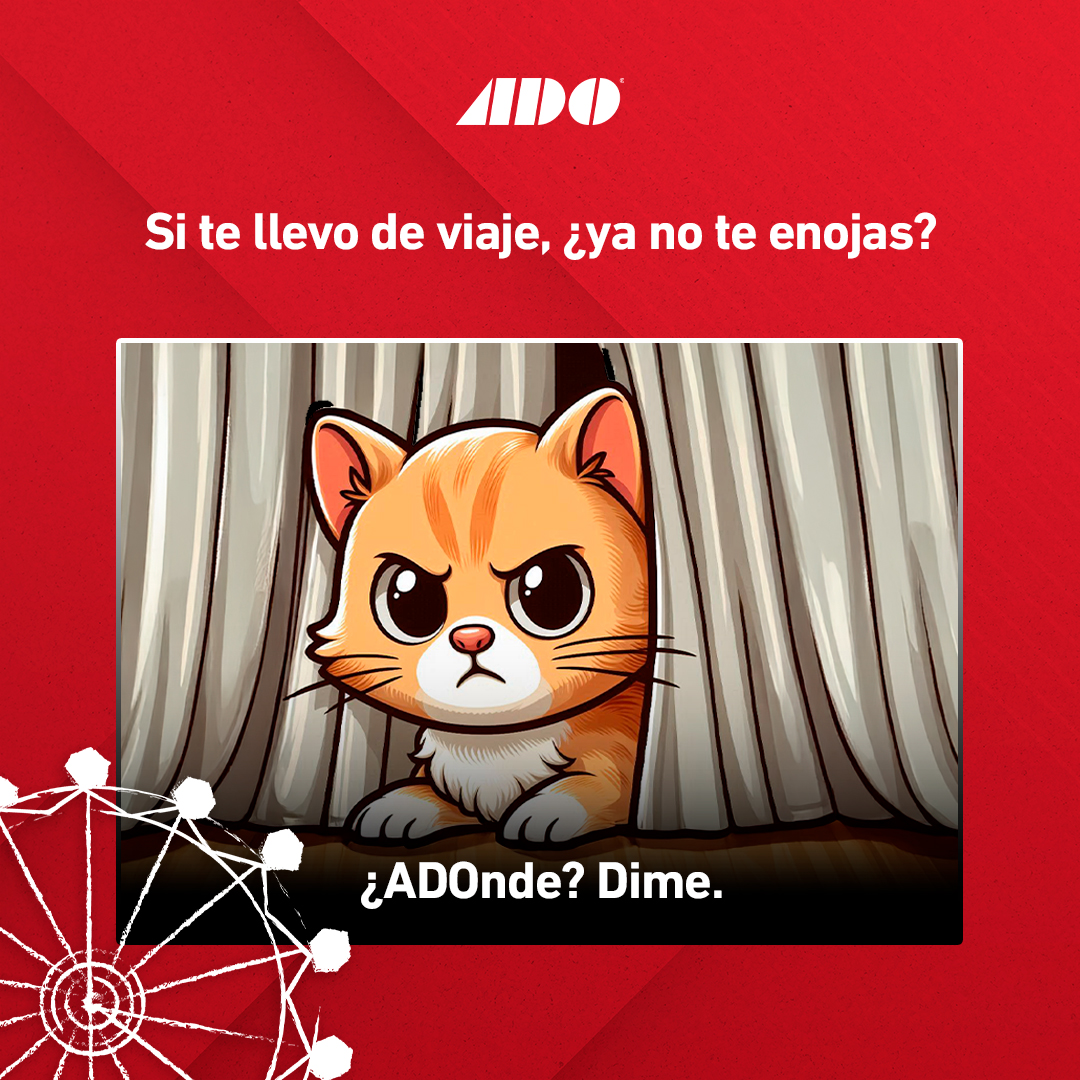 ¡Enamora a tu amorcito con un viaje! 😏💘 Solo dile "te llevo a donde quieras" y prepárate para una aventura con ADO. 🚍✨

¡Compra tu boleto ahora y haz que su sonrisa sea aún más grande! 📲
tinyurl.com/23gubfhw
#DiversiónADO