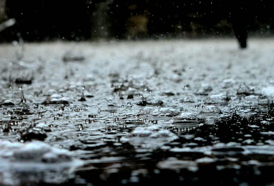 Schade na noodweer bij tuinbouwbedrijven omroeppenm.nl/schade-na-nood…