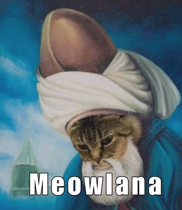 سيف الدين قطط