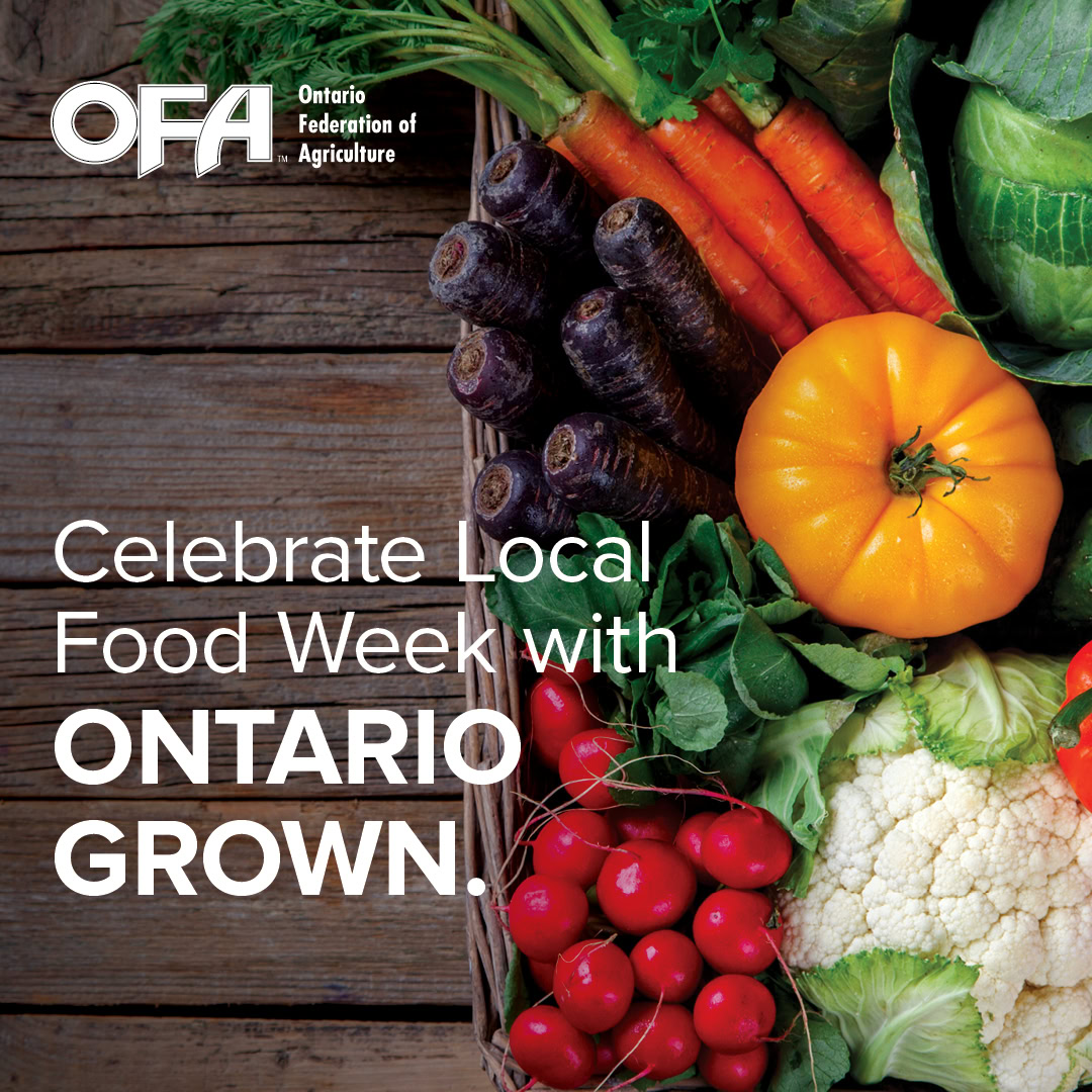 This week is Ontario’s #LocalFoodWeek where we celebrate the delicious, nutritious, and healthy foods grown and produced by Ontario farmers. I encourage you to visit a local food market or learn more about the food grown near you so that we can bridge the gap between farm and