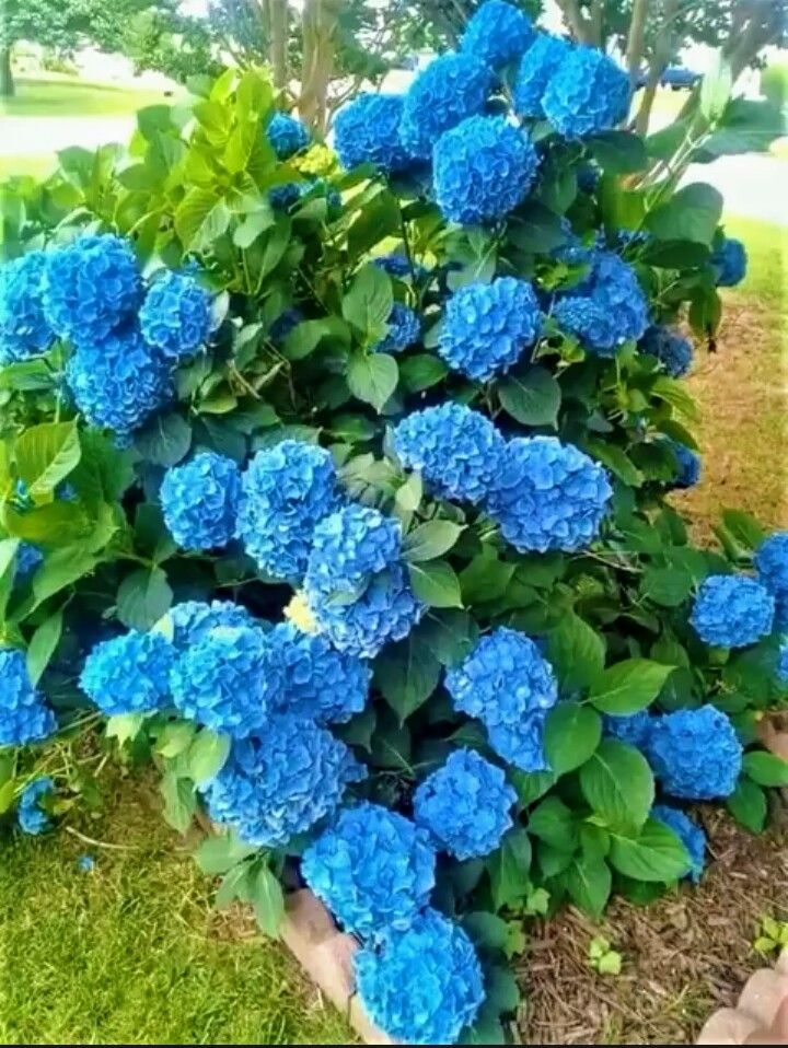 ✿𝖑𝖚𝖇𝖓𝖆 𝑨𝖑𝖎✿ (@lub_03) on Twitter photo #GPG🌷
<a href="/Ghz97/">✪𝗚𝖍𝖆𝖟𝖆𝖑𝖆𝖍 𝗦𝖆𝖉𝖆𝖋✪</a> <a href="/Lub_03/">✿𝖑𝖚𝖇𝖓𝖆 𝑨𝖑𝖎✿</a>
<a href="/m81mh/">Muhammad Hilal</a> <a href="/_oztr/">ÖzleⓂ️ 𝕏☪︎#Nika -ོ 🕯️🥶</a>
<a href="/florchicana/">Selene 𝕏🖤Perfectly imperfect 🖤❌DM❌</a>
<a href="/BAA_WA/">💎 Μ𝐲Ⓢт𝐈c💎</a>
<a href="/Hfz672/">Hafeez❤🖤💚</a>
<a href="/N_az24/">Sana Malik</a>
<a href="/anm40/">Anam Kanwal</a>
<a href="/zz70m/">🌸Ameer Zahir🇵🇰</a>
<a href="/As_t40/">𝐀 𝐒𝐚𝐭𝐭𝐚𝐫</a>
<a href="/Znt33/">🦋ZêēñäT</a>
<a href="/Trq88/">✍︎⸙𝐓αɾιϙ 𝐌υɾƚαȥα࿈</a>
<a href="/bnte_/">بـٌـٌٌـٌٌٌـٌٌـٌنـِِـِـتـٌـٌٌـ۔</a>
<a href="/80pti/">Danakhan..💝</a>
<a href="/Pti7k/">𝐿𝒶v𝑒𝑒𝓏𝒶_🍃</a>
<a href="/11usx/">Մsตαղ Cɦeeɱα✪</a>
<a href="/Fat9T/">Arshia🍂🥀</a>
<a href="/A_2SF/">S Rahe</a>
<a href="/5kshf/">syed kashif</a>
<a href="/Hfz48/">Hᴀғᴇᴇᴢᴀʜ Aᴋʙᴀʀ</a>
<a href="/1Arshii/">𝓐𝓻𝓼𝓱𝓲 𝓜𝓵𝓲𝓴 ☪ツ🇵🇰</a>
<a href="/111mn1/">🐬آمنہ ملک🦋</a>
<a href="/glmsjd/">𝑺𝒂𝒋𝒋𝒂𝒅 ✨</a>
<a href="/Hfz512/">Abdul Hafeez</a>
<a href="/MNPTi1/">𝟏.𝟐𝐌👑⃟≛⃝𝔐𝔲𝔫𝔰𝔦𝔣🕊️⃟⋆ ابوسلم ≛⃝🔶</a>
<a href="/Q_paro1/">𝒬𝓊𝑒𝑒𝓃ꪫꤪꤨ𝒫𝓇𝑜𝓂𝑜♟️</a>
<a href="/Lea_Dhai/">🐥𝒫𝓇𝒾𝓃𝒸𝑒𝓈𝓈 ℒ𝑒𝒶𝒽 ⭕️130 K👑</a>
<a href="/OdriSeva/">Odri Seva</a>
<a href="/_i_tl/">HK</a> <a href="/4Usmn/">𝓡𝓪𝓷𝓪 𝓤𝓼𝓶𝓪𝓷</a>
<a href="/m80mh/">Muhammad Hilal</a> <a href="/1_i_1i/">🔥🅰️ 🇩 🅰️ 🇲🔥</a>
<a href="/Ghz21/">⍟𝐆𝐡𝐚𝐳𝐚𝐥𝐚 𝐒𝐚𝐝𝐚𝐟⍟</a> <a href="/Ghz79/">❃ 𝔾𝕙𝕒𝕫𝕒𝕝𝕒𝕙 𝕊𝕒𝕕𝕒𝕗 ❃</a> #GPG🌷
<a href="/Ghz97/">✪𝗚𝖍𝖆𝖟𝖆𝖑𝖆𝖍 𝗦𝖆𝖉𝖆𝖋✪</a> <a href="/Lub_03/">✿𝖑𝖚𝖇𝖓𝖆 𝑨𝖑𝖎✿</a>
<a href="/m81mh/">Muhammad Hilal</a> <a href="/_oztr/">ÖzleⓂ️ 𝕏☪︎#Nika -ོ 🕯️🥶</a>
<a href="/florchicana/">Selene 𝕏🖤Perfectly imperfect 🖤❌DM❌</a>
<a href="/BAA_WA/">💎 Μ𝐲Ⓢт𝐈c💎</a>
<a href="/Hfz672/">Hafeez❤🖤💚</a>
<a href="/N_az24/">Sana Malik</a>
<a href="/anm40/">Anam Kanwal</a>
<a href="/zz70m/">🌸Ameer Zahir🇵🇰</a>
<a href="/As_t40/">𝐀 𝐒𝐚𝐭𝐭𝐚𝐫</a>
<a href="/Znt33/">🦋ZêēñäT</a>
<a href="/Trq88/">✍︎⸙𝐓αɾιϙ 𝐌υɾƚαȥα࿈</a>
<a href="/bnte_/">بـٌـٌٌـٌٌٌـٌٌـٌنـِِـِـتـٌـٌٌـ۔</a>
<a href="/80pti/">Danakhan..💝</a>
<a href="/Pti7k/">𝐿𝒶v𝑒𝑒𝓏𝒶_🍃</a>
<a href="/11usx/">Մsตαղ Cɦeeɱα✪</a>
<a href="/Fat9T/">Arshia🍂🥀</a>
<a href="/A_2SF/">S Rahe</a>
<a href="/5kshf/">syed kashif</a>
<a href="/Hfz48/">Hᴀғᴇᴇᴢᴀʜ Aᴋʙᴀʀ</a>
<a href="/1Arshii/">𝓐𝓻𝓼𝓱𝓲 𝓜𝓵𝓲𝓴 ☪ツ🇵🇰</a>
<a href="/111mn1/">🐬آمنہ ملک🦋</a>
<a href="/glmsjd/">𝑺𝒂𝒋𝒋𝒂𝒅 ✨</a>
<a href="/Hfz512/">Abdul Hafeez</a>
<a href="/MNPTi1/">𝟏.𝟐𝐌👑⃟≛⃝𝔐𝔲𝔫𝔰𝔦𝔣🕊️⃟⋆ ابوسلم ≛⃝🔶</a>
<a href="/Q_paro1/">𝒬𝓊𝑒𝑒𝓃ꪫꤪꤨ𝒫𝓇𝑜𝓂𝑜♟️</a>
<a href="/Lea_Dhai/">🐥𝒫𝓇𝒾𝓃𝒸𝑒𝓈𝓈 ℒ𝑒𝒶𝒽 ⭕️130 K👑</a>
<a href="/OdriSeva/">Odri Seva</a>
<a href="/_i_tl/">HK</a> <a href="/4Usmn/">𝓡𝓪𝓷𝓪 𝓤𝓼𝓶𝓪𝓷</a>
<a href="/m80mh/">Muhammad Hilal</a> <a href="/1_i_1i/">🔥🅰️ 🇩 🅰️ 🇲🔥</a>
<a href="/Ghz21/">⍟𝐆𝐡𝐚𝐳𝐚𝐥𝐚 𝐒𝐚𝐝𝐚𝐟⍟</a> <a href="/Ghz79/">❃ 𝔾𝕙𝕒𝕫𝕒𝕝𝕒𝕙 𝕊𝕒𝕕𝕒𝕗 ❃</a>