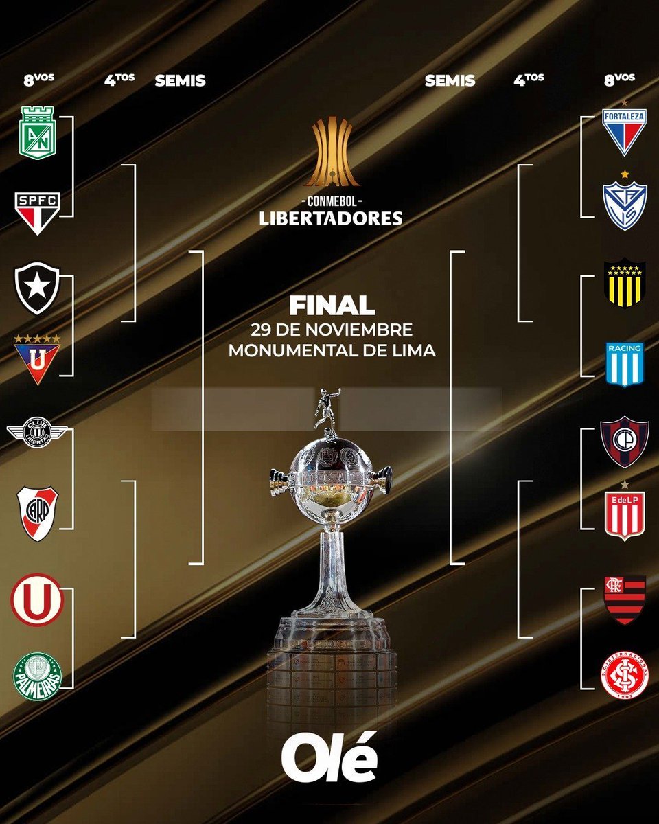 "Octavos"

Porque así quedó el cuadro de la Copa Libertadores.