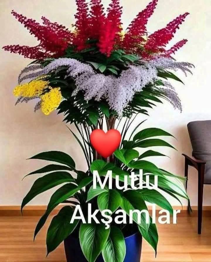 ESSELAMUNALEYKUM