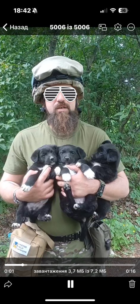 Friends, help us and Alexey find a family for these puppies, they are in a war zone. Maybe someone wants to adopt a friend?