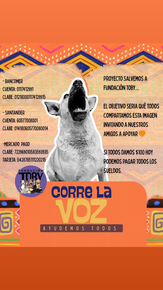 FundacionToby's tweet photo. Si todos nos aportan un granito de arena podremos seguir haciendo cosas increíbles!!! 🧡✨🐾

 Cuentas Toby

- BANCOMER
Cuenta: 0117412991
Clabe: 012180001174129915

- SANTANDER
Cuenta: 60577008001
Clabe: 014180605770080014
 
- Mercado pago
Clabe: 722969010583593935
Tarjeta: 5428785111220215

- Paypal
https://t.co/IWW9kwJ7By