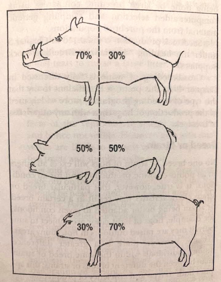 Nice argument. However, I have already portrayed myself as the perfectly balanced 50%-50% hog and you and your friend as the grossly misshapen 70%-30% and 30%-70% hogs