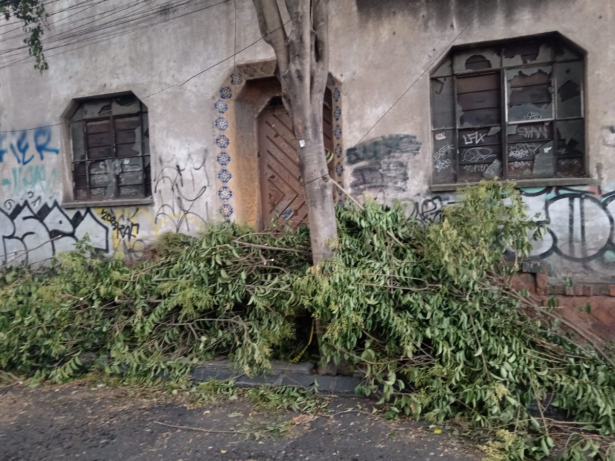Paula Bueno (@pbn477933867871) on Twitter photo Nos apoyan <a href="/AccionesBJ/">Acciones BJ</a> para levantar ramas en Col. Mixcoac en calle Luis David No. 23 en <a href="/BJAlcaldia/">Alcaldía de Benito Juárez</a>. Los vecinos me piden con urgencia este tema ya que no hay forma de que el peaton pueda transitar seguro y se tiene que bajar de la banqueta. Ya sabemos que <a href="/CFE_Contigo/">CFE_Contigo</a> <a href="/CFEmx/">CFEmx</a> Nos apoyan <a href="/AccionesBJ/">Acciones BJ</a> para levantar ramas en Col. Mixcoac en calle Luis David No. 23 en <a href="/BJAlcaldia/">Alcaldía de Benito Juárez</a>. Los vecinos me piden con urgencia este tema ya que no hay forma de que el peaton pueda transitar seguro y se tiene que bajar de la banqueta. Ya sabemos que <a href="/CFE_Contigo/">CFE_Contigo</a> <a href="/CFEmx/">CFEmx</a>
