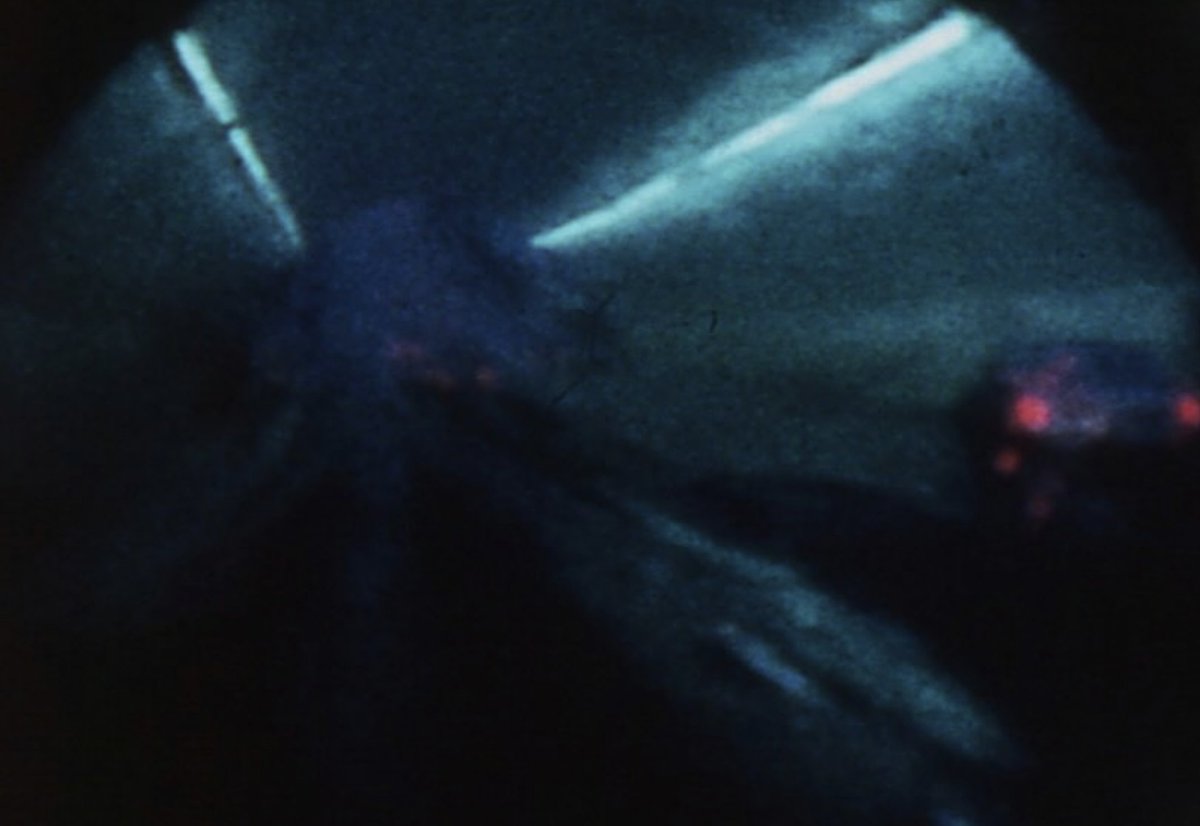 The Film-Makers’ Cooperative tweet media
