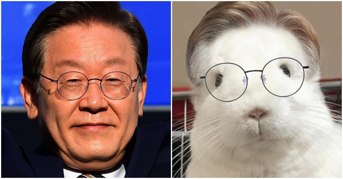 kebithumb's tweet photo. 김문수 후보 고양이 밈이 왜 나왔나 했더니 
쥐 잡는 고양이라서 그런 거였구나 ㅋㅋㅋ https://t.co/FlULqLtagf