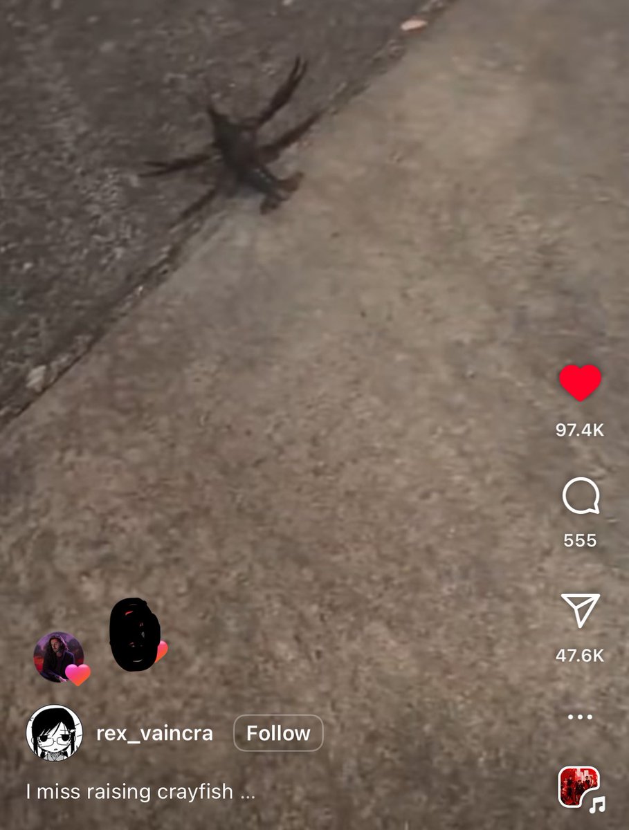 hannah 🍄‍🟫 is kind of back tweet media