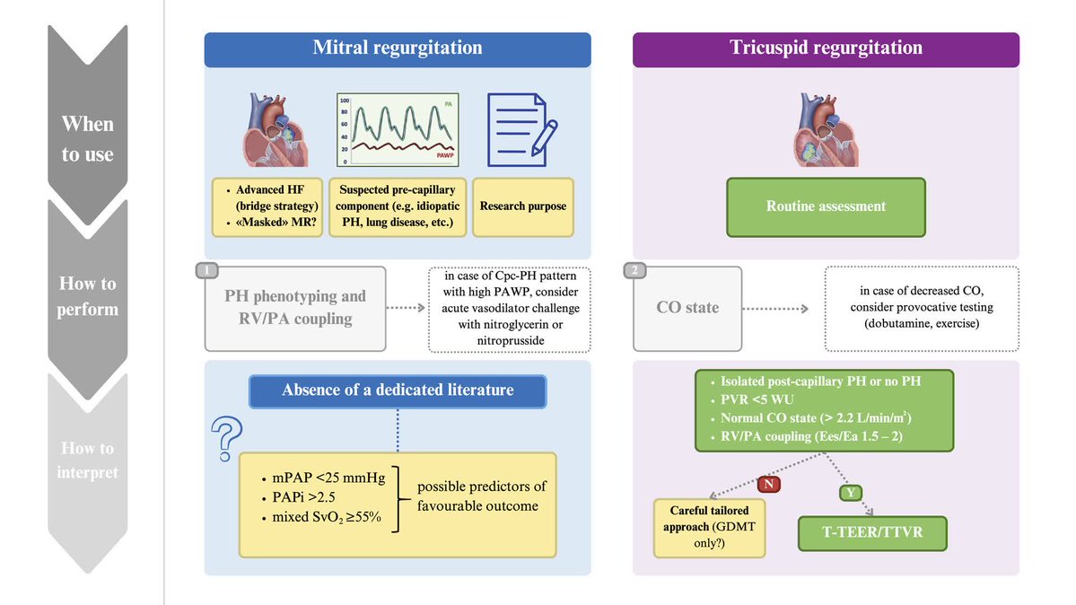 Circ: Heart Failure (@circhf) on Twitter photo Hemodynamic Right Heart Catheterization Before Transcatheter Mitral and Tricuspid Therapies @Dr.LucaTesta <a href="/saia_francesco/">Francesco Saia</a> <a href="/azeemlatib/">Azeem Latib</a> <a href="/RyanTedfordMD/">Ryan J Tedford MD</a> <a href="/RodrigoEstvez1/">Rodrigo Estévez</a> <a href="/CaravitaSergio/">Sergio Caravita</a> <a href="/andrea_muna/">Andrea Munafò</a> <a href="/antosis_93/">Antonio Sisinni</a> @coppifrancesca <a href="/lucaraone/">Luca Raone</a> <a href="/SparasciF/">Francesco Maria Sparasci</a> <a href="/GodinoCosmo/">CosmoGodino</a> ahajrnls.org/4mzCsQT Hemodynamic Right Heart Catheterization Before Transcatheter Mitral and Tricuspid Therapies @Dr.LucaTesta <a href="/saia_francesco/">Francesco Saia</a> <a href="/azeemlatib/">Azeem Latib</a> <a href="/RyanTedfordMD/">Ryan J Tedford MD</a> <a href="/RodrigoEstvez1/">Rodrigo Estévez</a> <a href="/CaravitaSergio/">Sergio Caravita</a> <a href="/andrea_muna/">Andrea Munafò</a> <a href="/antosis_93/">Antonio Sisinni</a> @coppifrancesca <a href="/lucaraone/">Luca Raone</a> <a href="/SparasciF/">Francesco Maria Sparasci</a> <a href="/GodinoCosmo/">CosmoGodino</a> ahajrnls.org/4mzCsQT