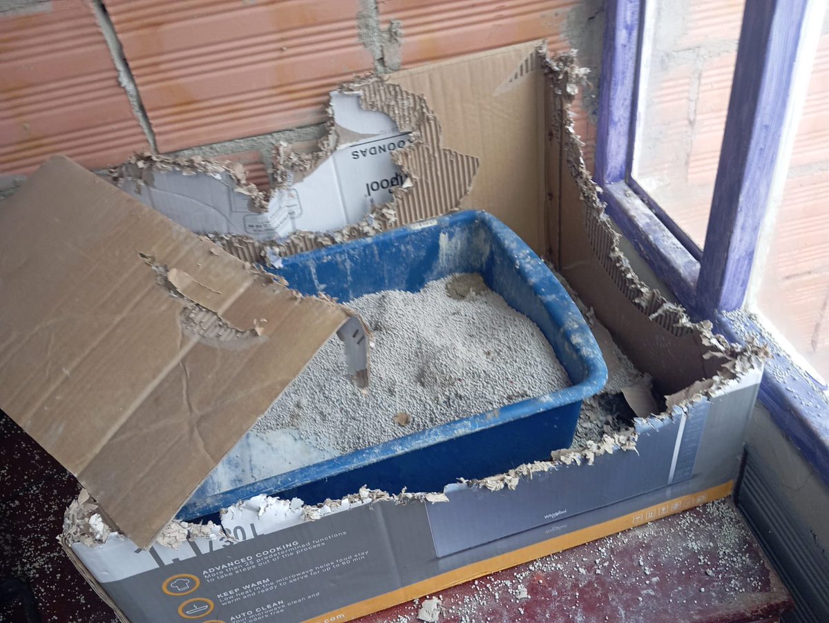 Alcaldía Tunjuelito (@alctunjuelito) on Twitter photo ¡Seguimos trabajando por el bienestar de nuestros animalitos! Rescatamos 3 perritos en abandono en el barrio El Carmen.
Estaban sin comida y desnutridos. Ya recibieron atención médica.
Gracias a <a href="/PoliciaBogota/">Policía Metropolitana de Bogotá</a> y Seguridad de Convivencia.
#BienestarAnimal #NoAlMaltratoAnimal ¡Seguimos trabajando por el bienestar de nuestros animalitos! Rescatamos 3 perritos en abandono en el barrio El Carmen.
Estaban sin comida y desnutridos. Ya recibieron atención médica.
Gracias a <a href="/PoliciaBogota/">Policía Metropolitana de Bogotá</a> y Seguridad de Convivencia.
#BienestarAnimal #NoAlMaltratoAnimal