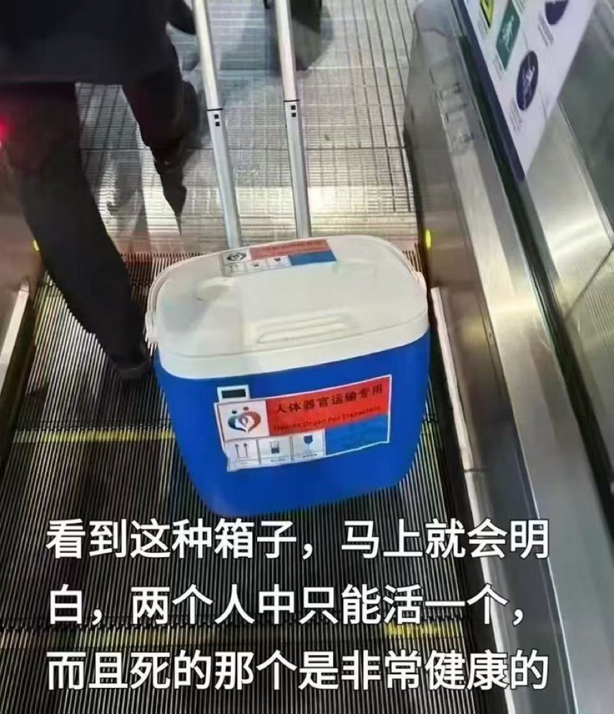 如果你现在不站出来反对，也许下一个被装在箱子里的器官就是你！