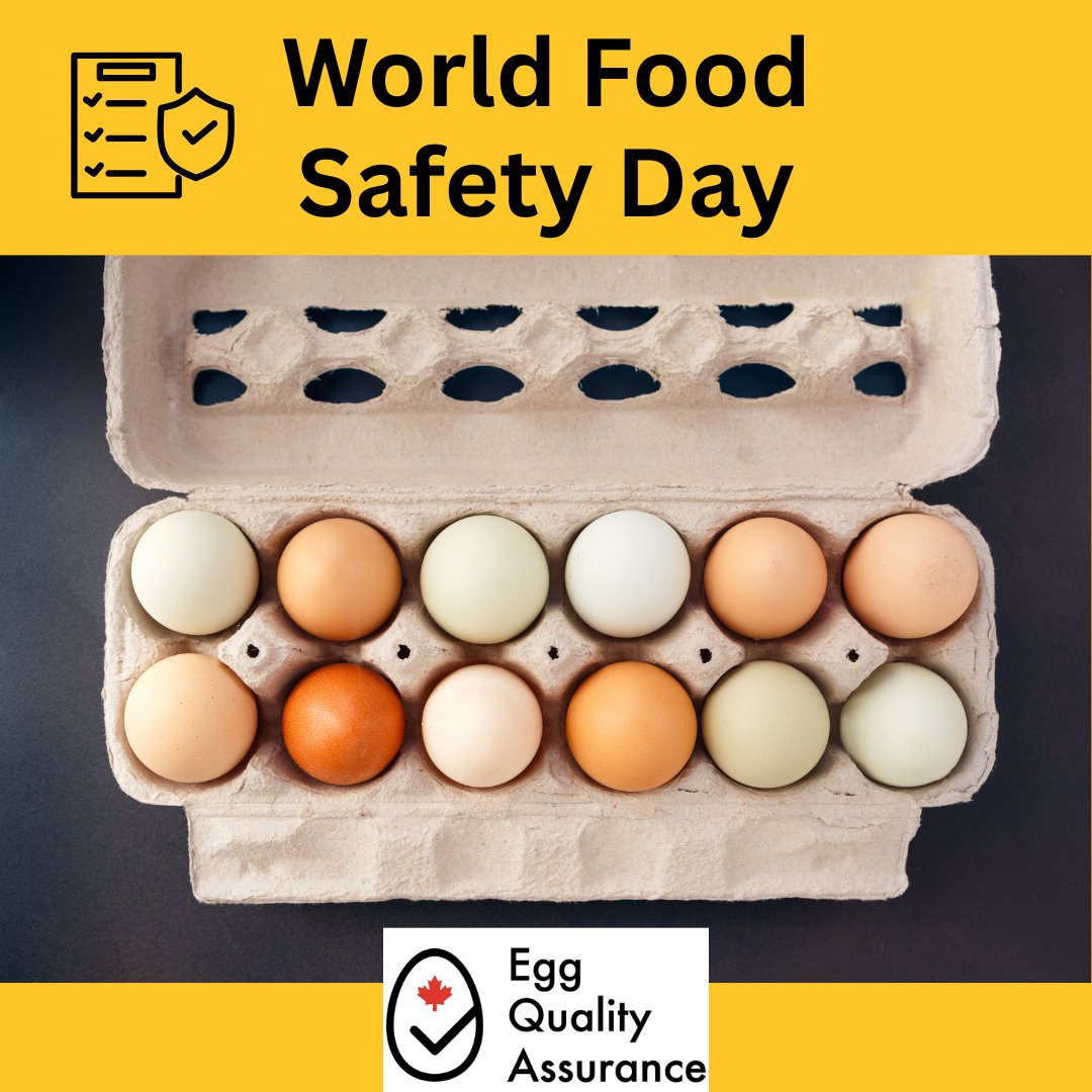 Egg Farmers of AB (@EFA_AB_eggs) / Posts / X