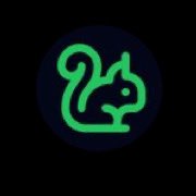 squirrel (@squirrelsqrl) on Twitter photo 