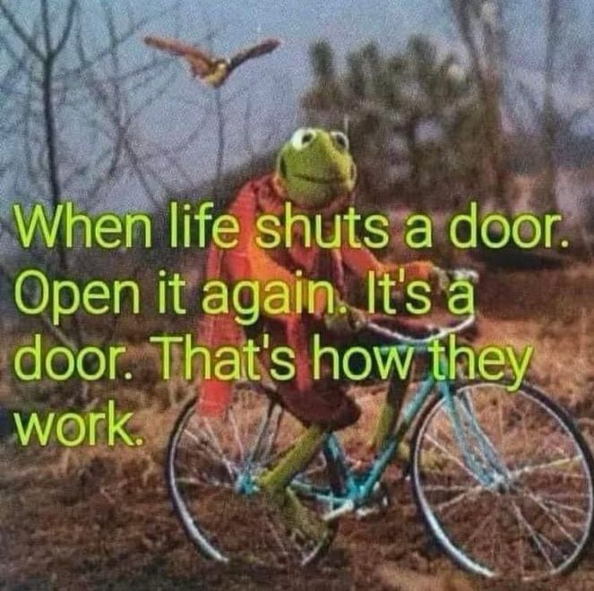 this may actually be a photo of scorpio, leo, aquarius, taurus: