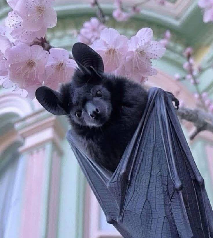 Patrignzm tweet media