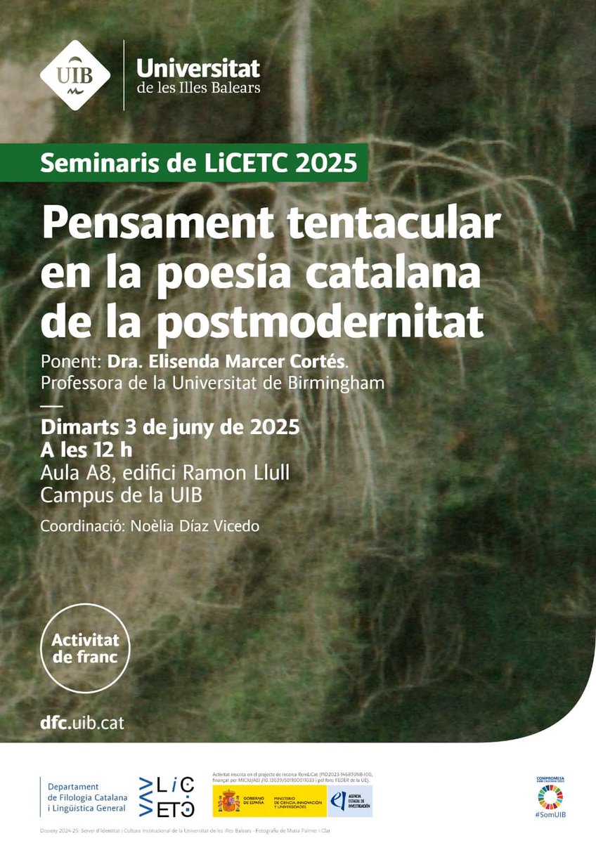 Catalina Mir tweet media