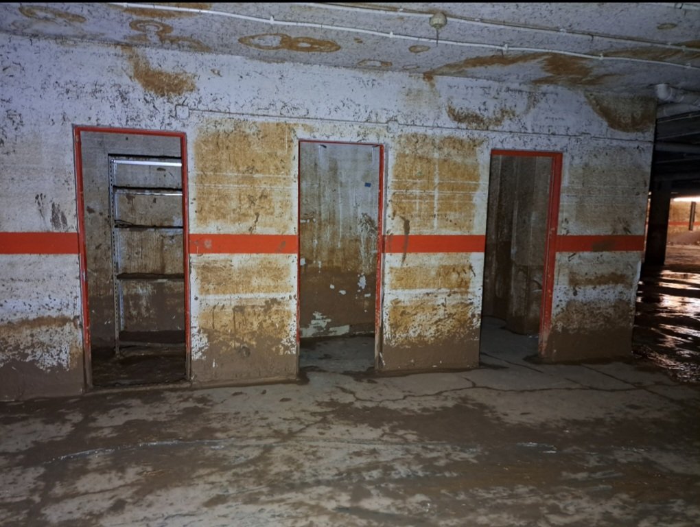 🗓 2 de Junio | Patrón de los aparejadores, arquitectos técnicos ✨️🧱  San Juan de Ortega  

¡Feliz día compañer@s, en especial a los que ejercen como peritos! 

🏚🔎📒 Otras formas de ejercer, otra profesión #perito #ArquitecturaTécnica
#periciales #peritaciones