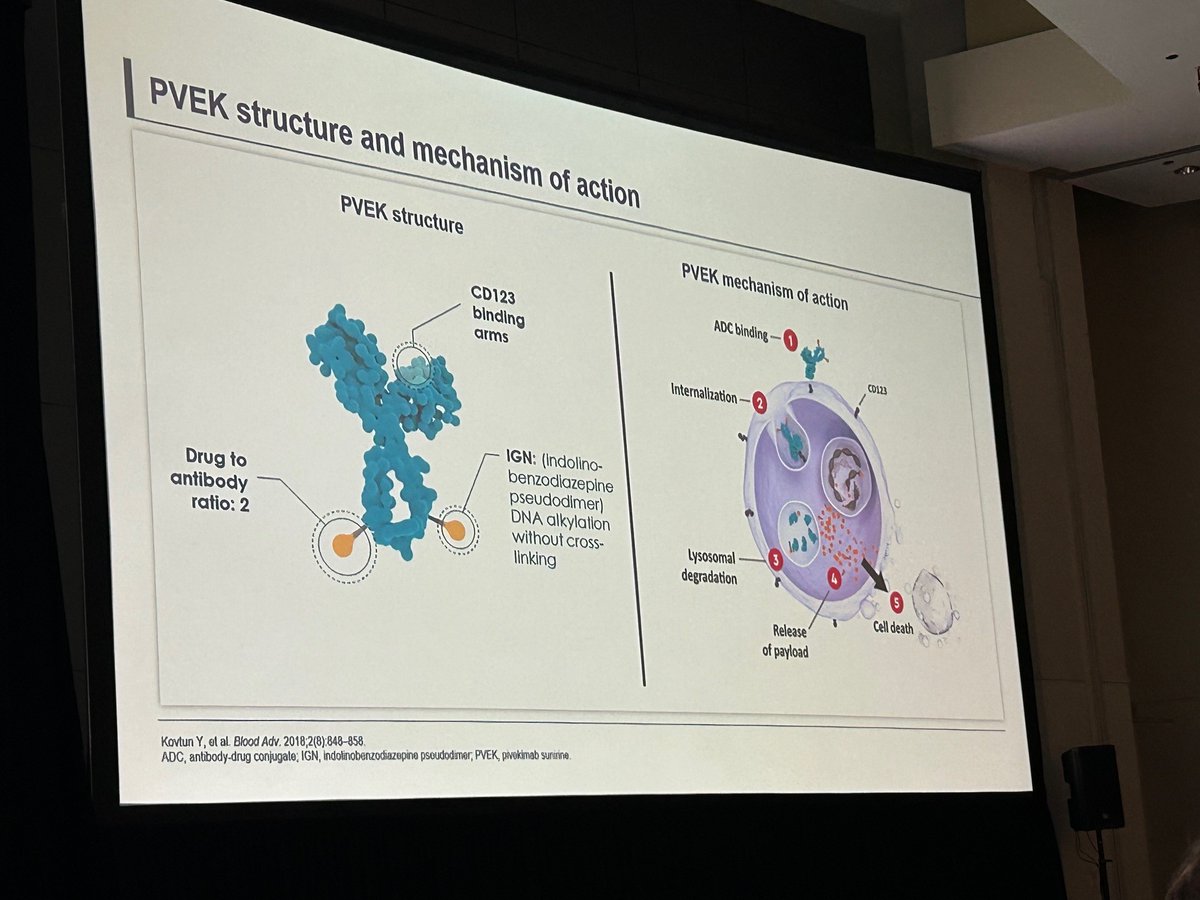 MD Anderson Cancer Center (@mdandersonnews) on Twitter photo New data from the CADENZA study shows pivekimab sunirine (PVEK) led to a 70% CR + CRc rate in frontline BPDCN with a manageable safety profile. Presented by Dr. Naveen Pemmarju at #ASCO25. #EndCancer bit.ly/45E62i9
<a href="/doctorpemm/">Naveen Pemmaraju, MD</a> New data from the CADENZA study shows pivekimab sunirine (PVEK) led to a 70% CR + CRc rate in frontline BPDCN with a manageable safety profile. Presented by Dr. Naveen Pemmarju at #ASCO25. #EndCancer bit.ly/45E62i9
<a href="/doctorpemm/">Naveen Pemmaraju, MD</a>